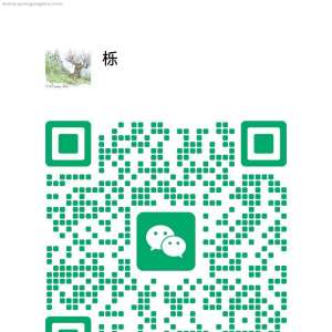 请输入相册名称