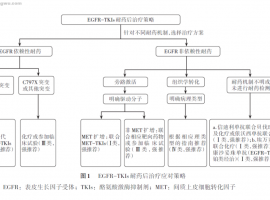 解读EGFR突变肺癌靶向治疗耐药后应对策略专家共识（2025版）