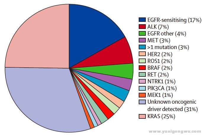 肺腺癌的驱动基因突变和频率.jpg